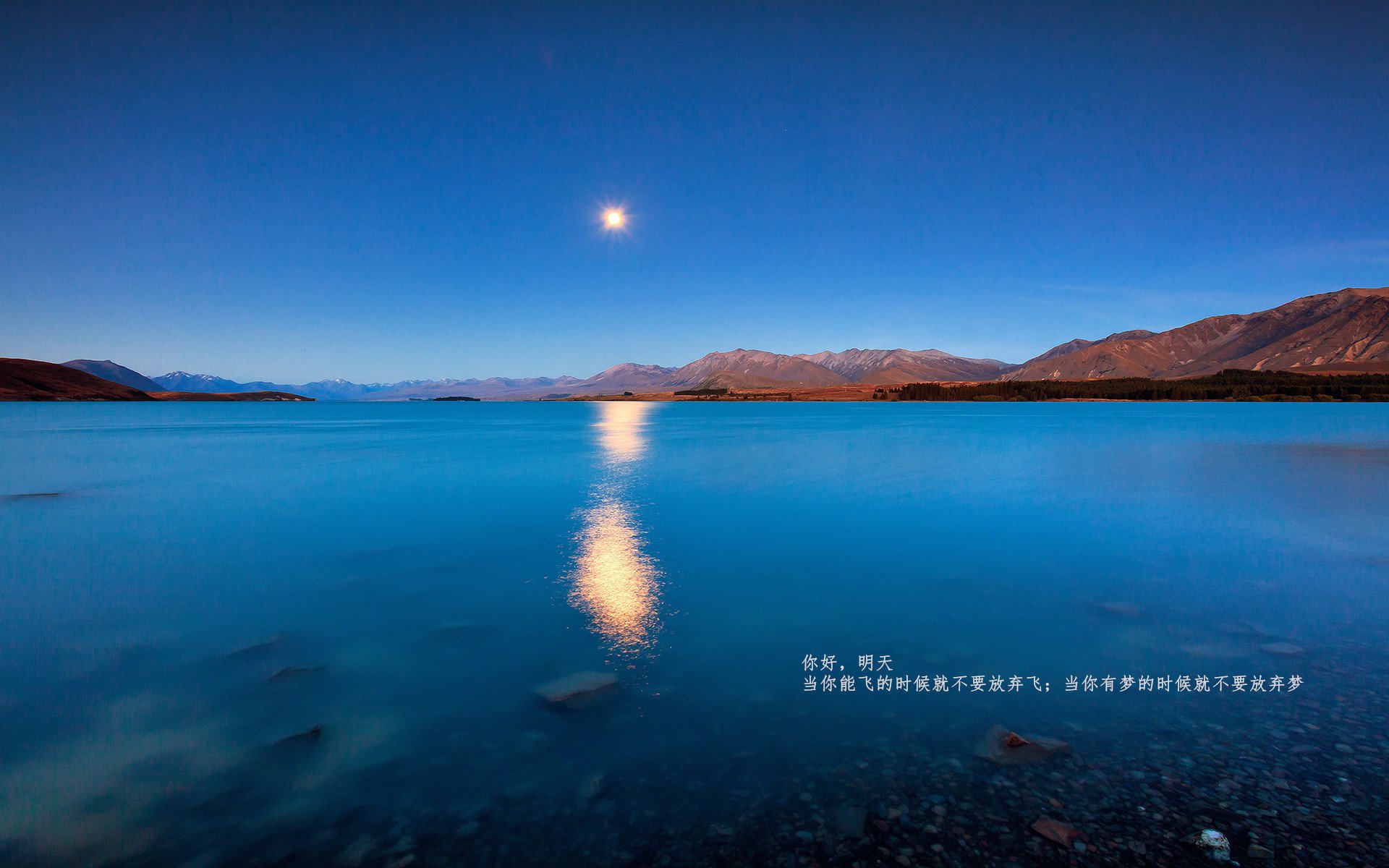 改写1982,皮克的时空助攻与洪都拉斯的节奏之谜