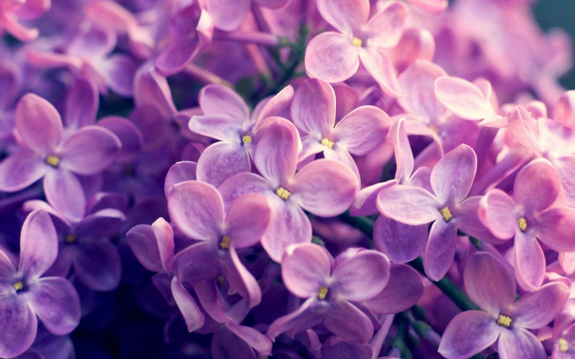 本泽马孤胆英雄，皇马逆袭德比上演复仇者归来！