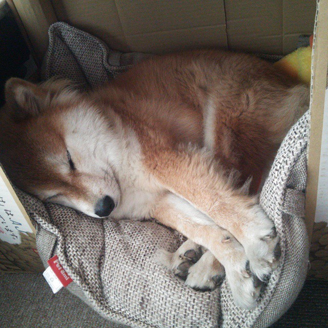 终极悬念已死，拜仁式纪律撕碎希腊神话，世界杯最残酷一课