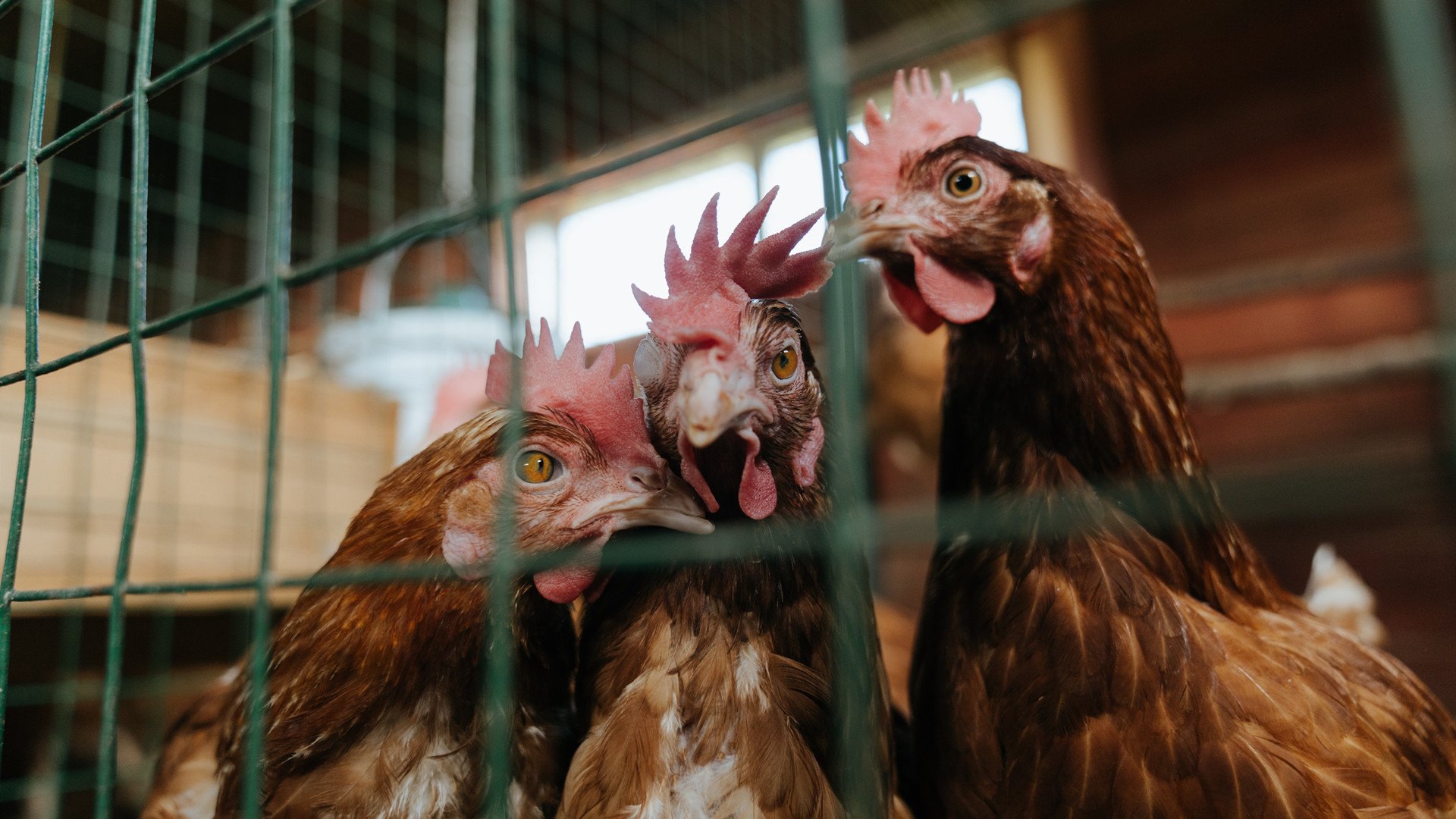 内马尔舞动东决之夜，节奏大师的完全掌控