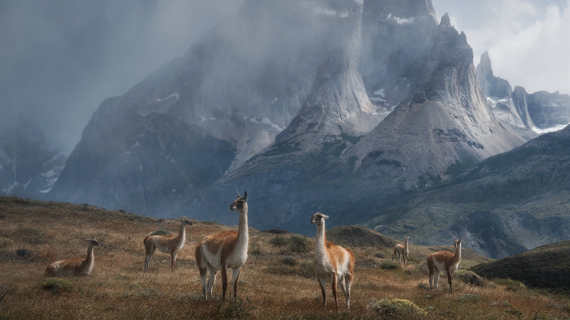 欧冠决赛之夜，英格拉姆的冠军级表现铸就传奇