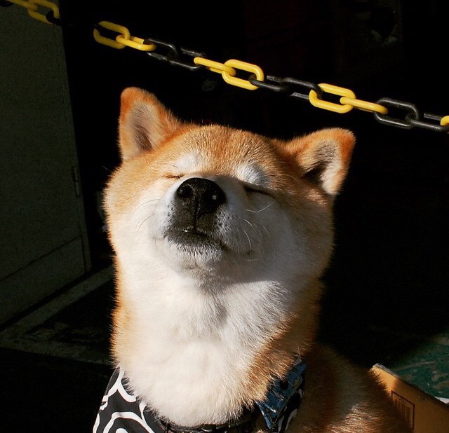 绿茵场上的唯一性，巴斯托尼的防守艺术与几内亚的绝杀时刻