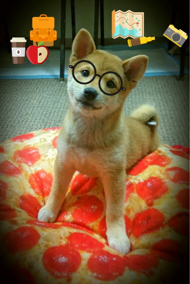 预言中的焦点战，当2026世界杯的解说席为魔术击败奇才而失声