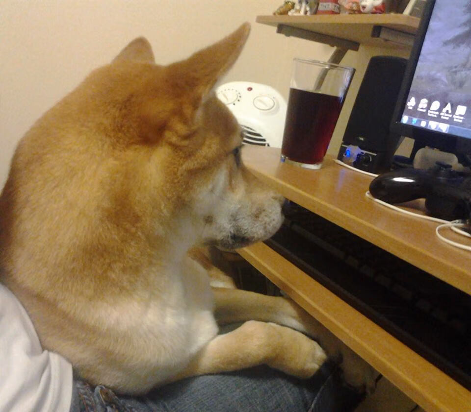 永恒之夜，欧文在美加墨世界杯进攻端的唯一性统治