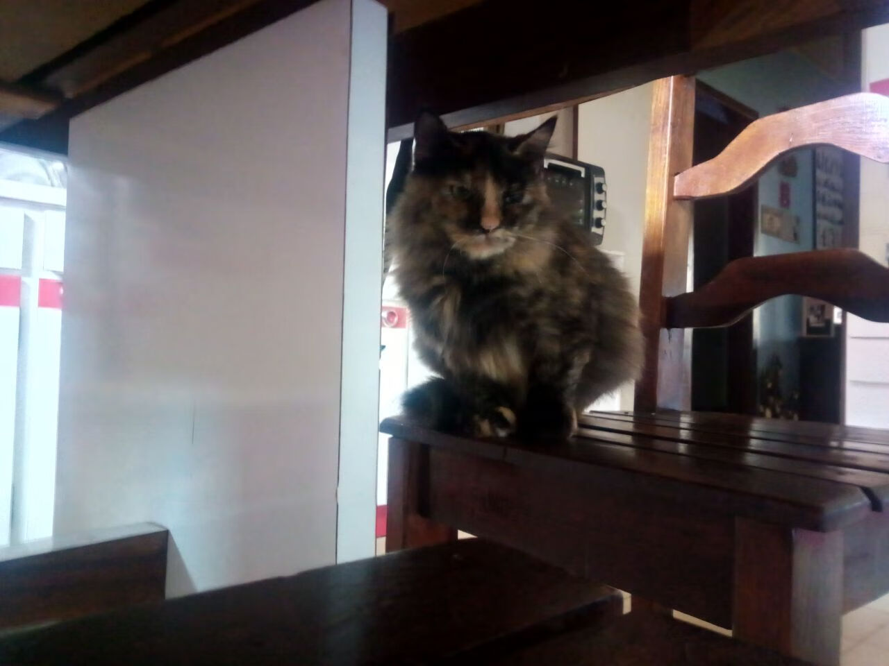 萨克拉门托的统治，国王队如何全面压制尼克斯，塔图姆如何成为关键先生