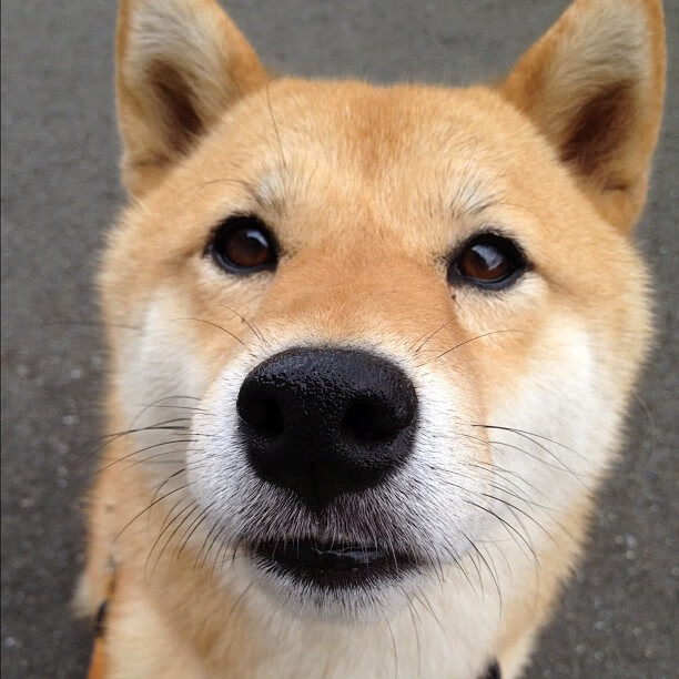 篮球神话的逆袭,美加墨世界杯焦点战,奇才一波带走山西队