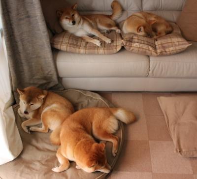 大师的独舞，德布劳内的压制级发挥与一个被定义的欧冠之夜