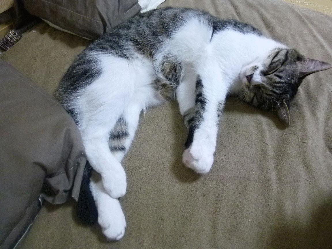 失败者的金杯，欧冠决赛之夜，班凯罗在重压下完成的唯一爆发