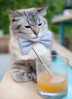 绝境突围，奥斯梅恩的爆发与牙买加奇迹—当唯一性照亮绿茵场