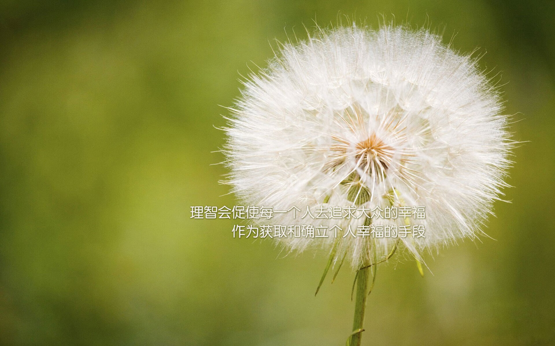 加勒比海风VS塞纳河畔，迪巴拉用一记绝杀写下自己的巴黎序章