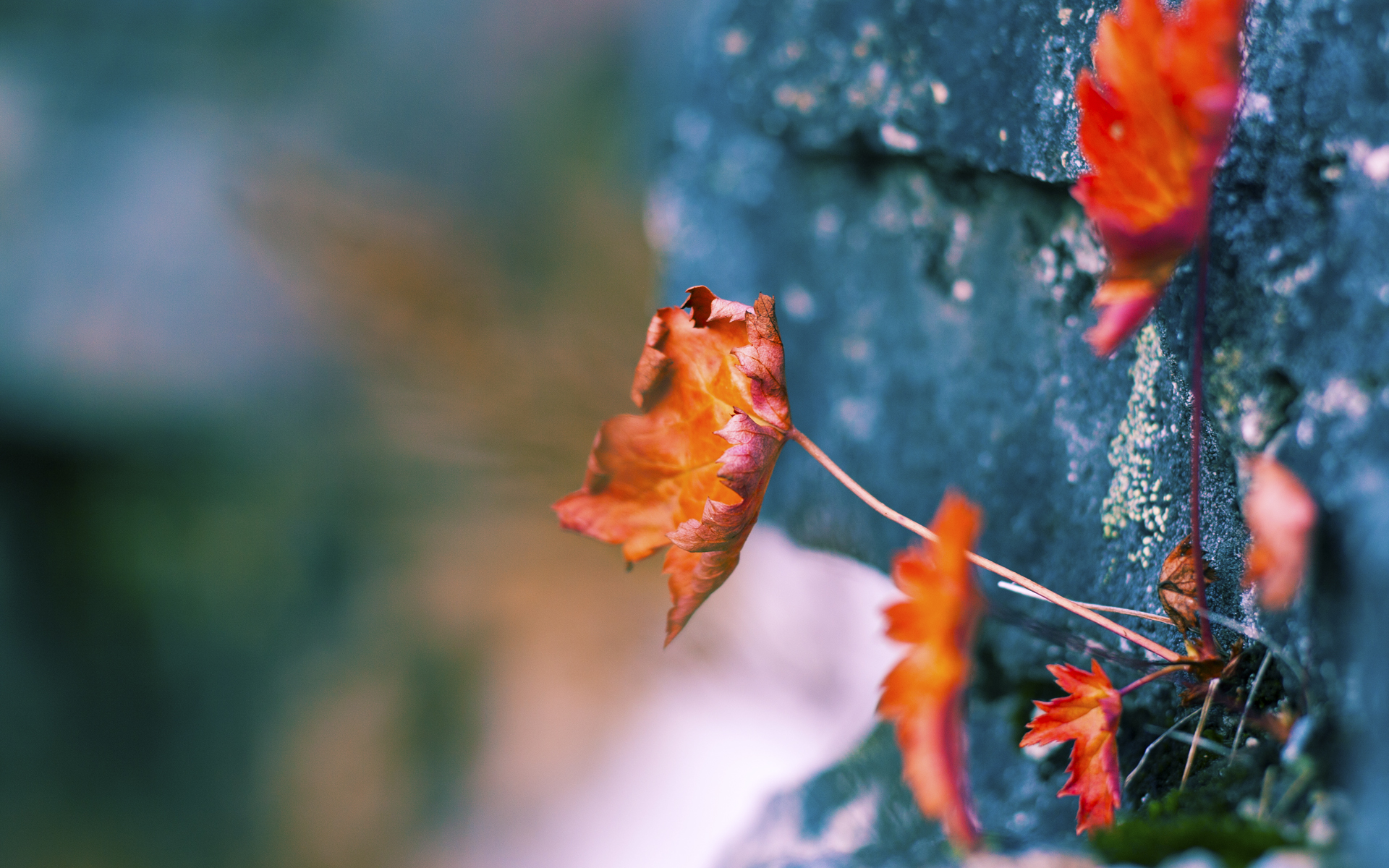 格纳布里关键一击，喀麦隆爆冷完胜国际米兰—一场改写历史的友谊赛