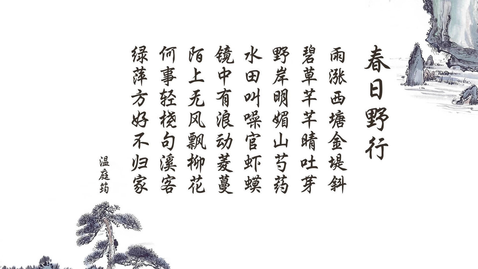 撕裂防守的独舞,欧文单骑斩落费城,森林狼西部崛起再添铁证