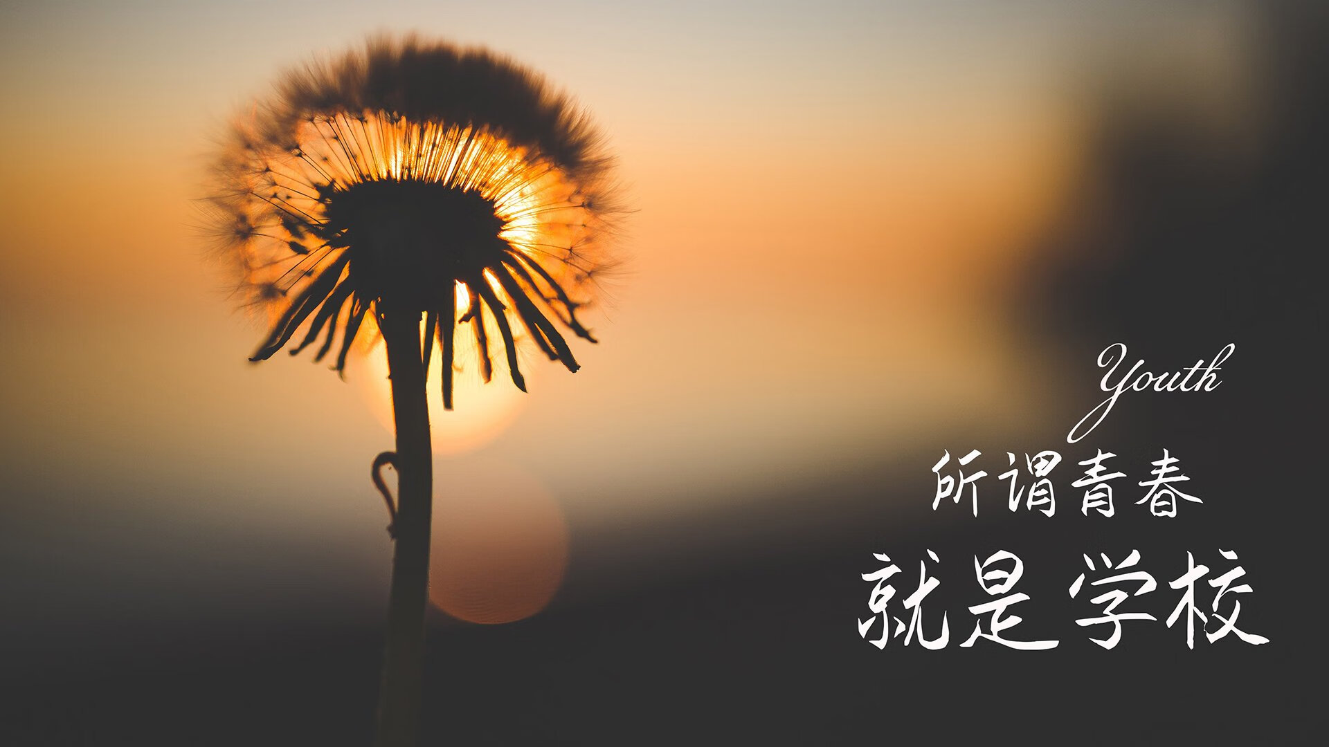 弑神者之夜，维尼修斯完成致命一击，挪威在G组书写唯一神谕