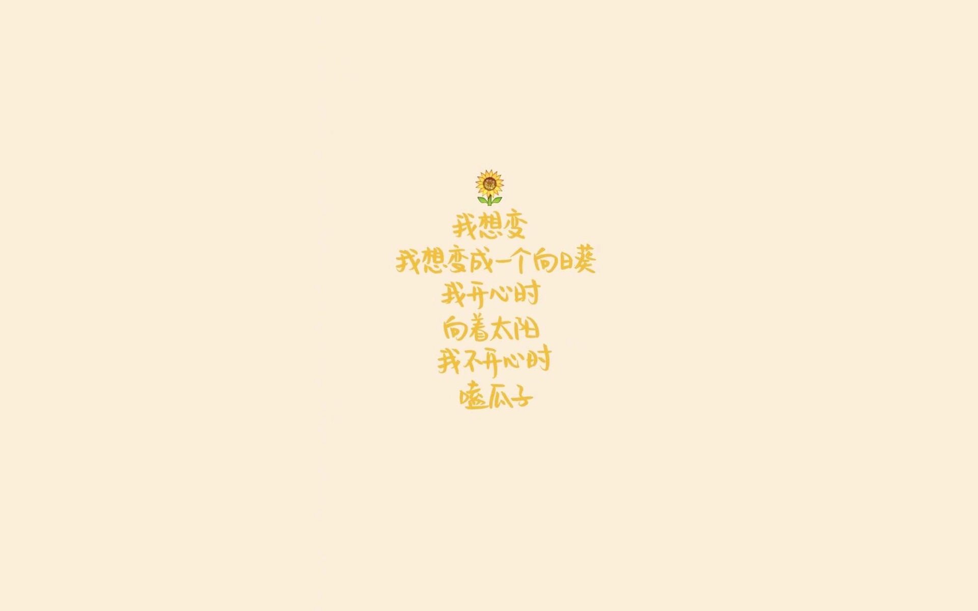 当不可能被刻进时间，2026世界杯D组，一场悖论中的真实胜利