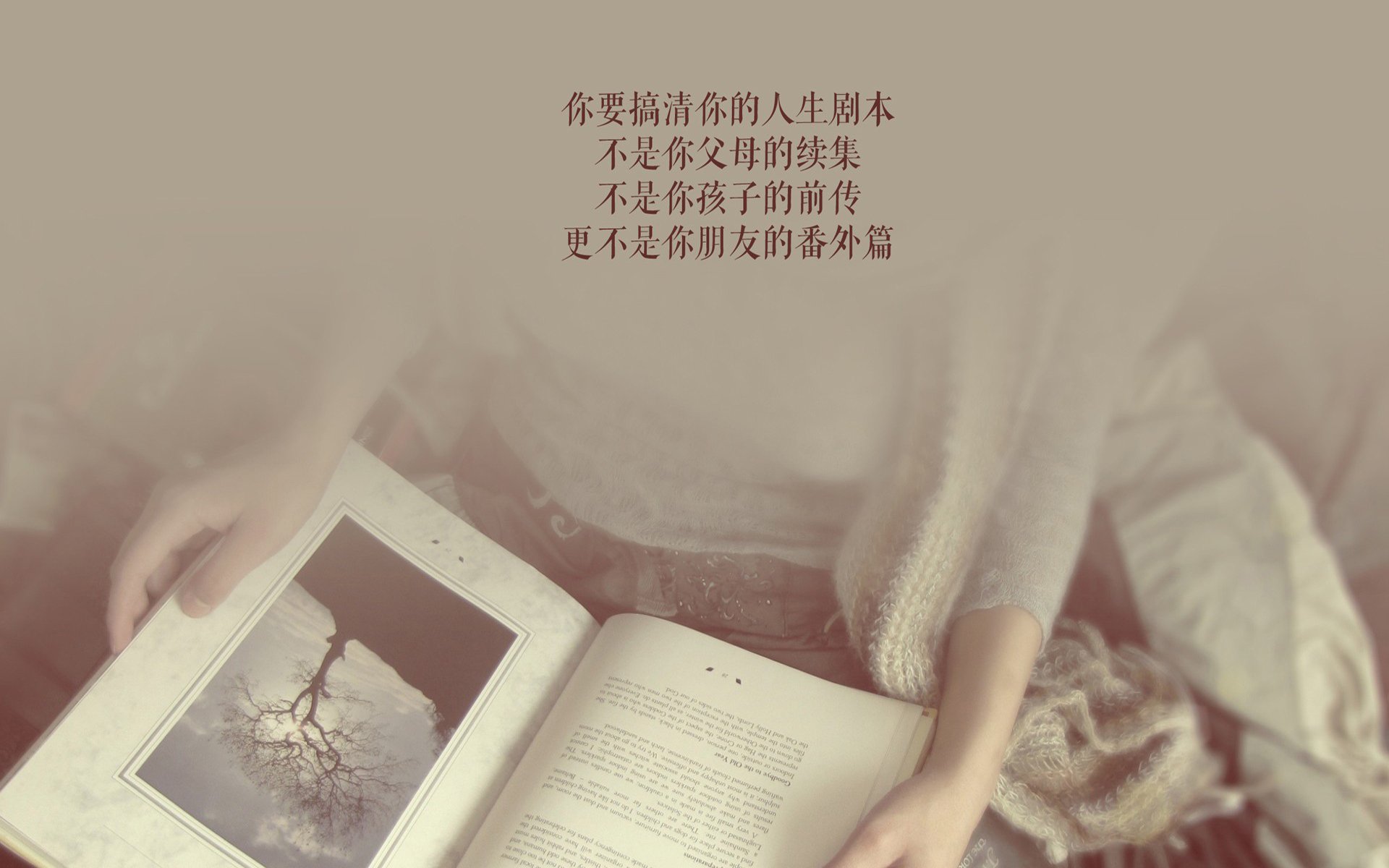 孤星耀世，凯恩的独行与墨西哥的风暴—一场非典型世界杯焦点战评述