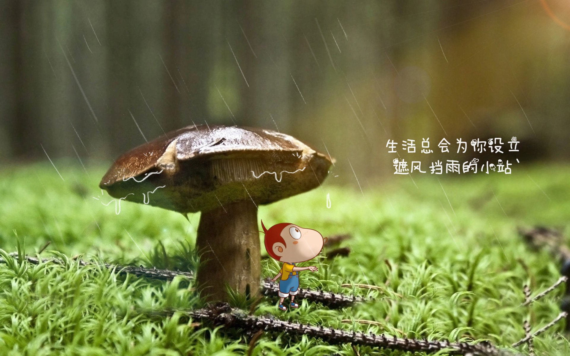 沙漠风暴席卷桑巴王国，当体系击败天赋，贝林厄姆与一名替补奇兵如何改写足球版图