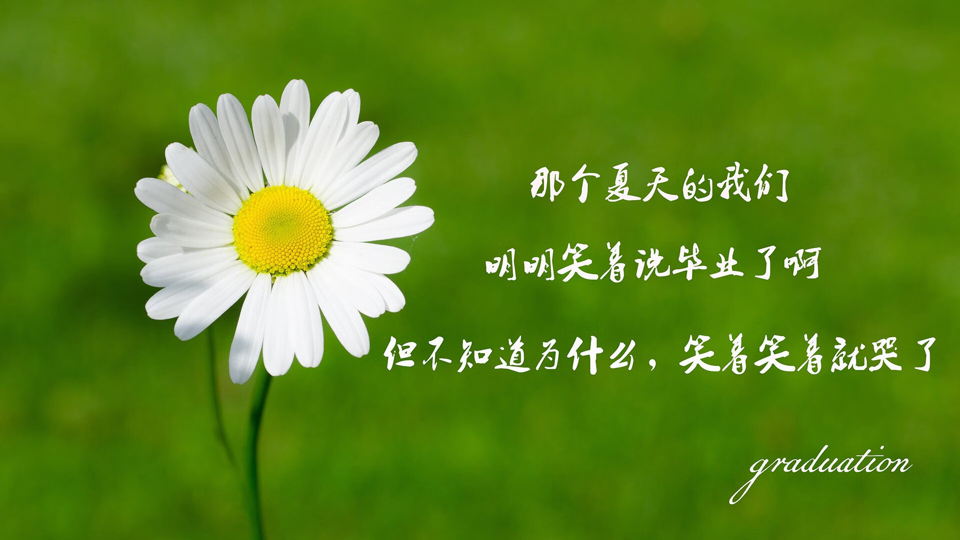 恒河之子的圣歌，当奥斯梅恩让北欧战船在沙漠搁浅
