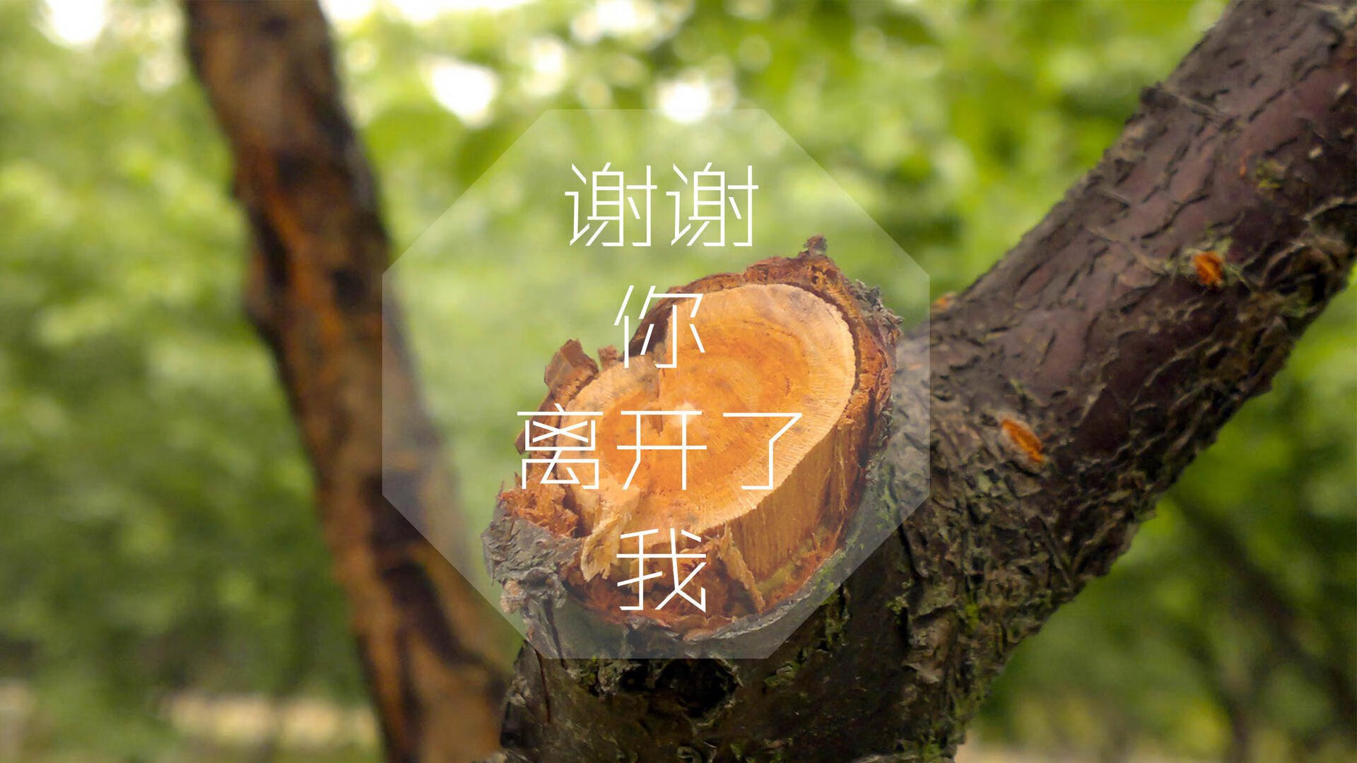 双核驱动，2026世界杯H组关键战，法兰西风暴横扫太极虎，卢卡库节奏制胜