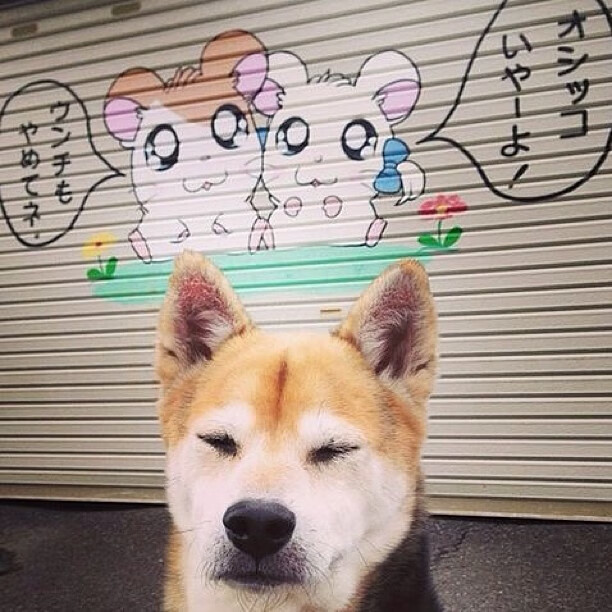 迦太基的逆袭,当梅西身披红色战袍,德意志战车在沙漠中熄火