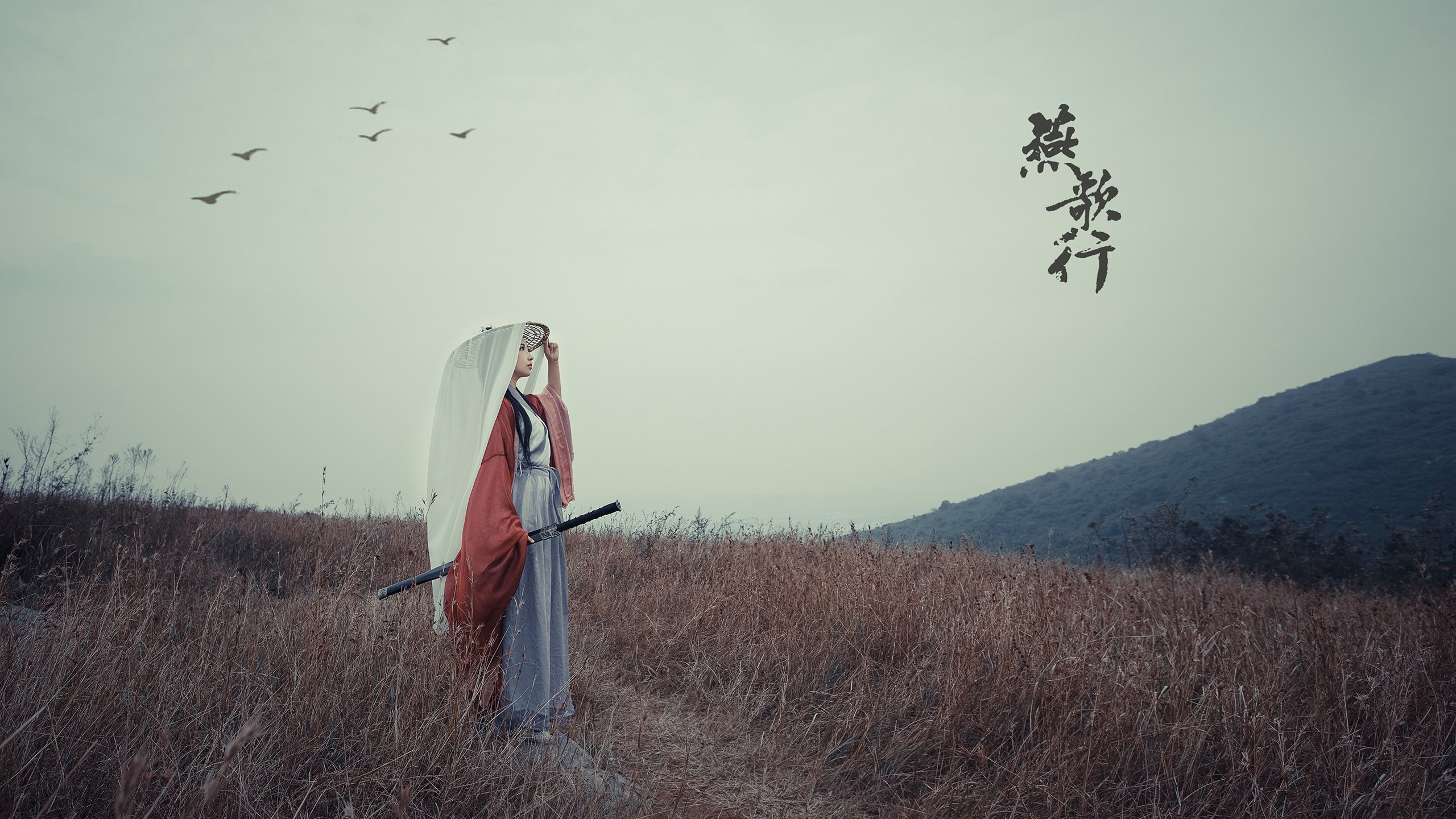 沙漠风暴席卷安联,2026世界杯G组,突尼斯以唯一之名改写足球史诗,齐耶赫的魔幻之夜让德意志战车熄火