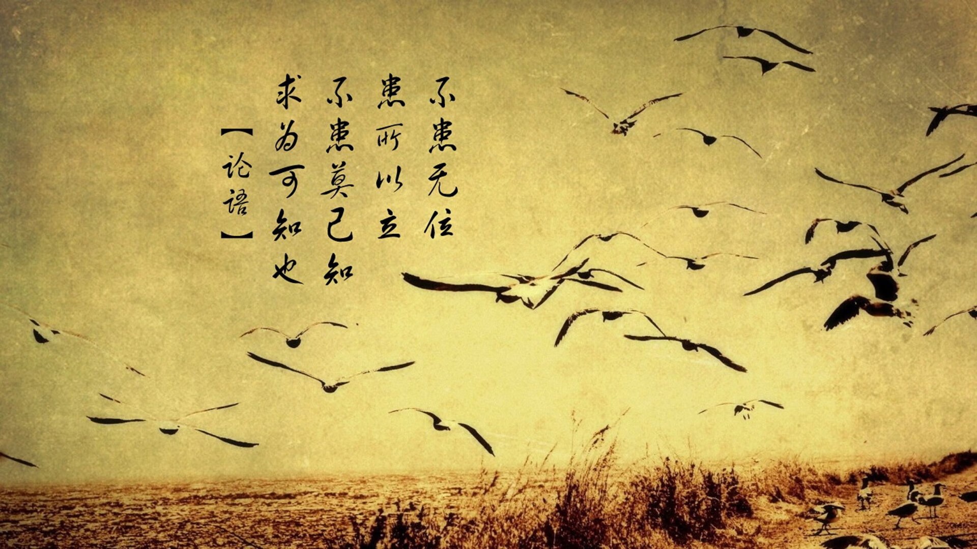 颠覆与永恒，2026半决赛，当罗马尼亚风暴吞噬捷克，吉鲁铸就最后的致命诗篇